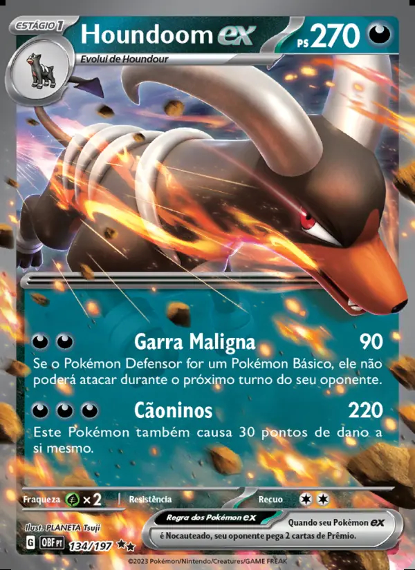 Image of the card Houndoom ex