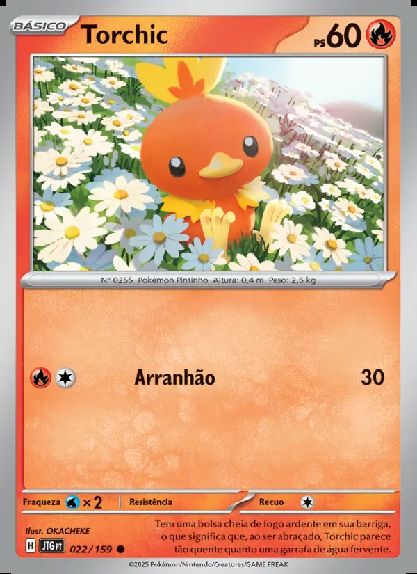 Image of the card Torchic