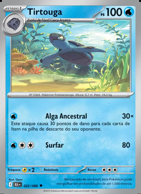 Image of the card Tirtouga