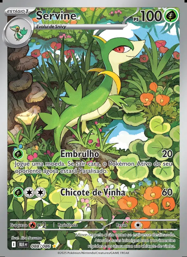 Image of the card Servine