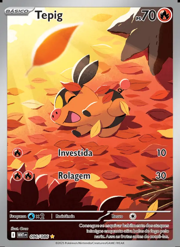 Image of the card Tepig