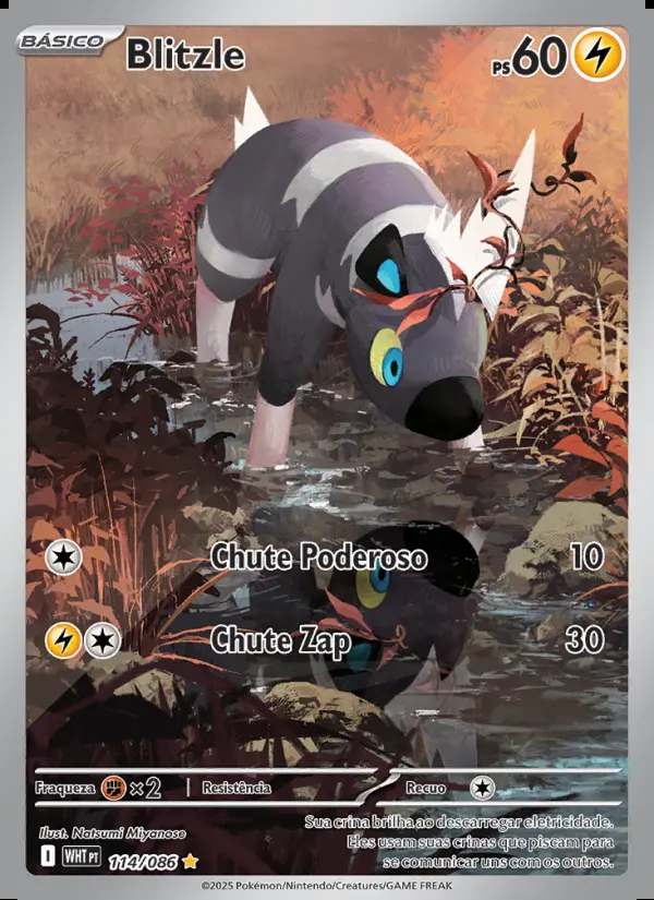Image of the card Blitzle